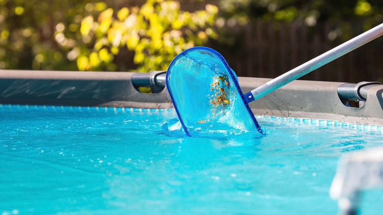 Limpieza de piscina